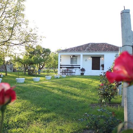 "Per Mik" Cottage In Vineyard Szkodra Zewnętrze zdjęcie