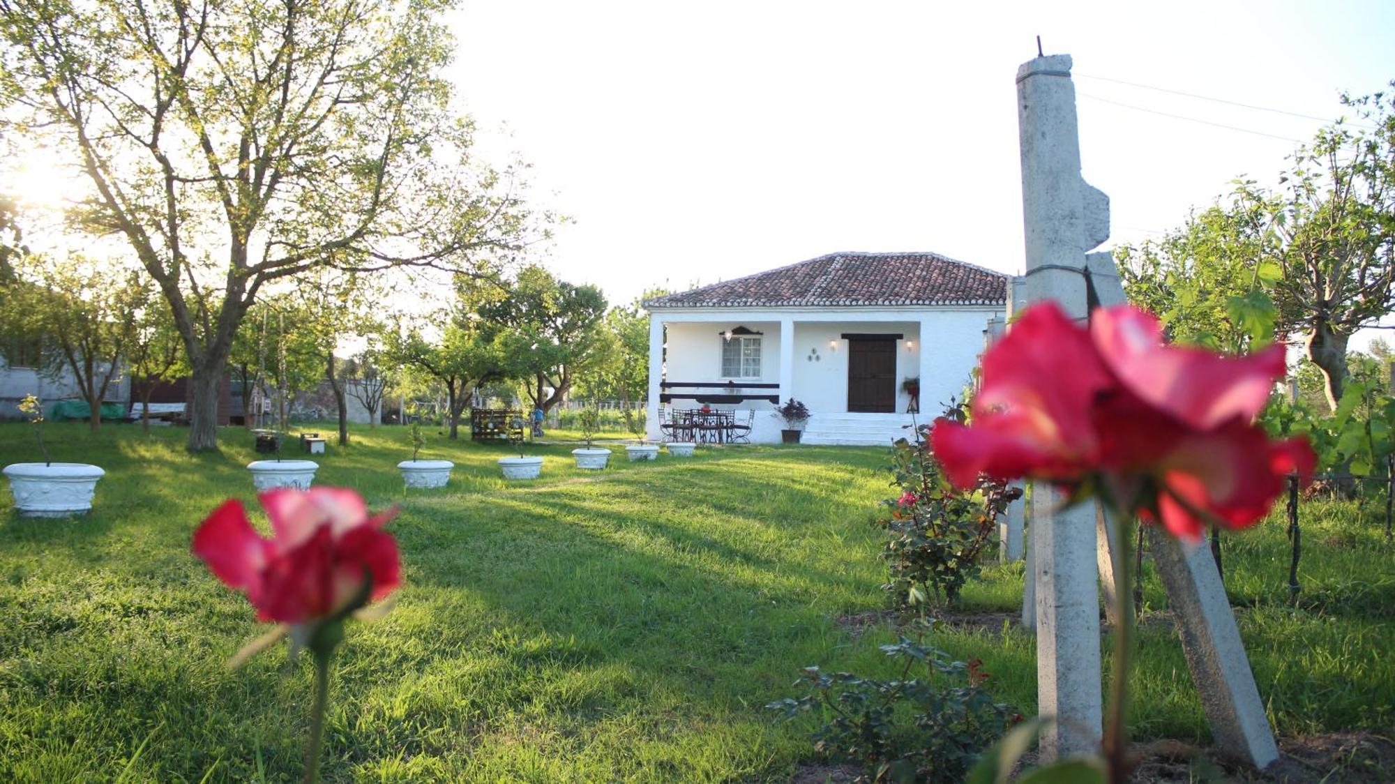 "Per Mik" Cottage In Vineyard Szkodra Zewnętrze zdjęcie
