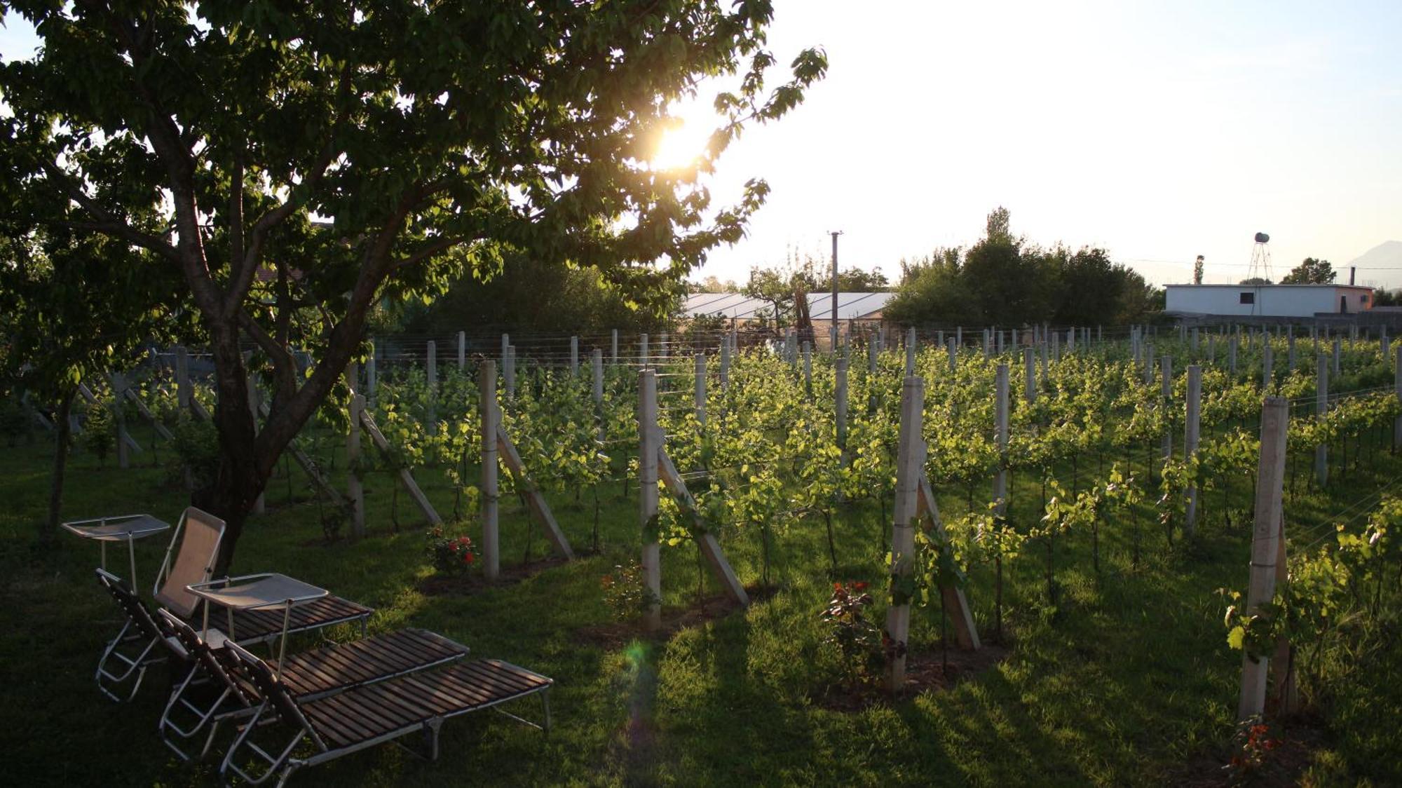"Per Mik" Cottage In Vineyard Szkodra Zewnętrze zdjęcie