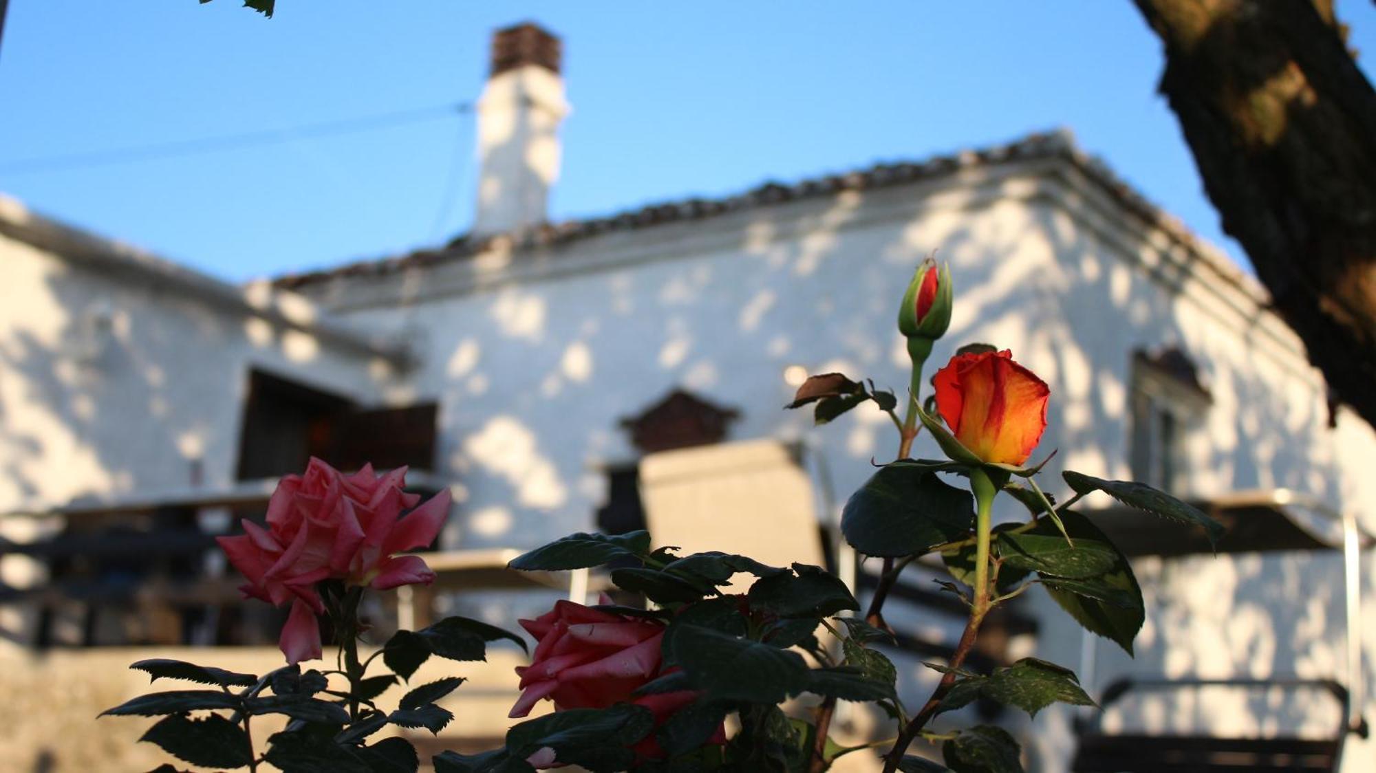 "Per Mik" Cottage In Vineyard Szkodra Zewnętrze zdjęcie